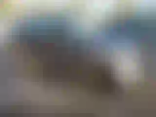 Vehicle Image- 2020 Toyota CHr