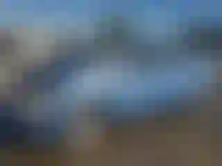 Vehicle Image- 2004 Chevrolet Aveo