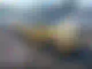 Vehicle Image- 2009 Chevrolet Aveo