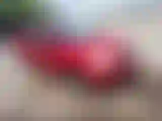 Vehicle Image- 2010 Chevrolet Aveo