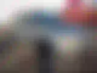 Vehicle Image- 2004 Chevrolet Aveo