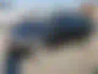 Vehicle Image- 2008 Chevrolet Aveo