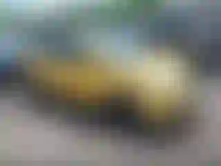 Vehicle Image- 2009 Chevrolet Aveo