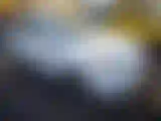 Vehicle Image- 2011 Chevrolet Aveo