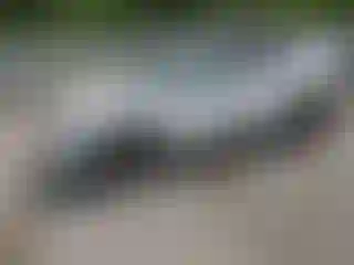 Vehicle Image- 2025 Chevrolet Trax