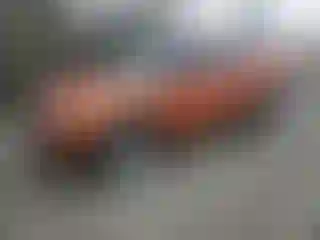 Vehicle Image- 2022 Chevrolet Trailblazer