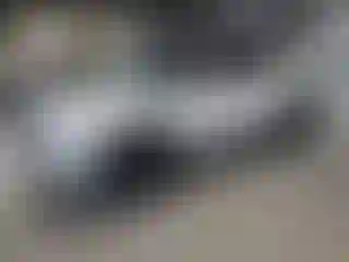 Vehicle Image- 2022 Chevrolet Trailblazer