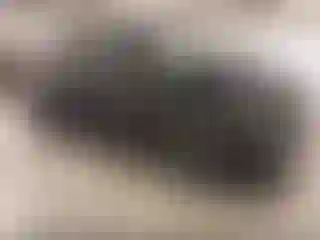 Vehicle Image- 2021 Chevrolet Trailblazer