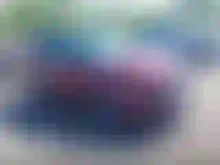 Vehicle Image- 2023 Chevrolet Trailblazer