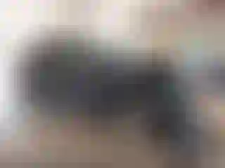 Vehicle Image- 2022 Chevrolet Trax