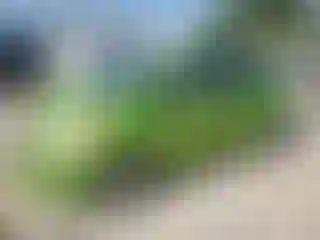 Vehicle Image- 2014 Chevrolet Spark