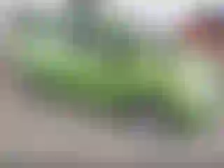 Vehicle Image- 2014 Chevrolet Spark