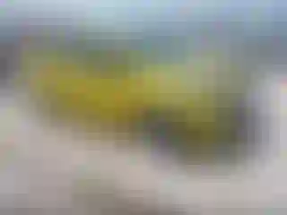 Vehicle Image- 2022 Chevrolet Spark