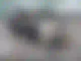 Vehicle Image- 2022 Chevrolet Spark