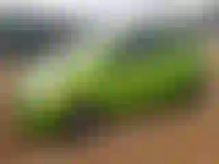 Vehicle Image- 2015 Chevrolet Spark