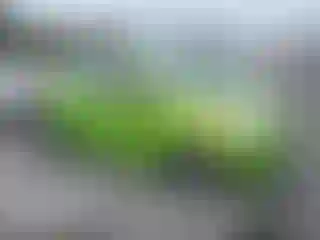 Vehicle Image- 2015 Chevrolet Spark