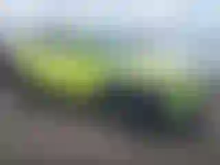 Vehicle Image- 2024 Hyundai Kona