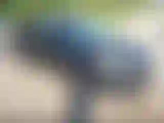 Vehicle Image- 2019 Hyundai Tucson