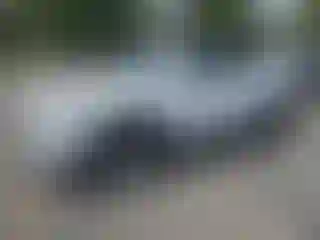 Vehicle Image- 2019 Hyundai Tucson