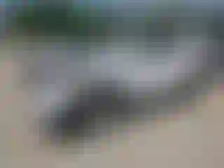 Vehicle Image- 2019 Hyundai Tucson