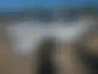 Vehicle Image- 2016 Hyundai Tucson