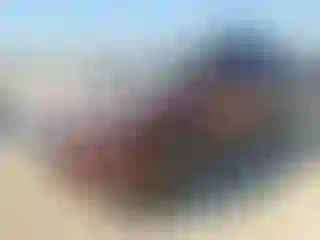 Vehicle Image- 2017 Hyundai Tucson