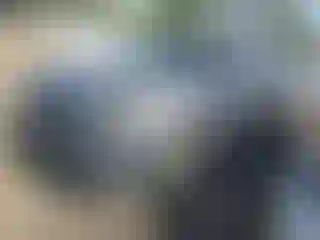 Vehicle Image- 2016 Hyundai Tucson