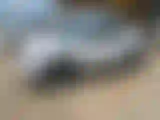 Vehicle Image- 2021 Hyundai Tucson