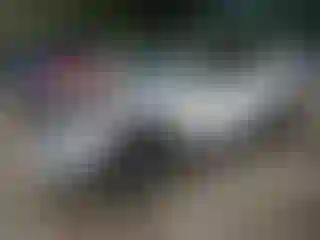 Vehicle Image- 2019 Hyundai Tucson