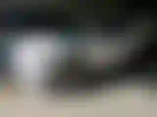 Vehicle Image- 2018 Hyundai Tucson