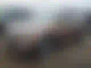 Vehicle Image- 2016 Hyundai Tucson