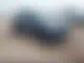 Vehicle Image- 2019 Hyundai Tucson