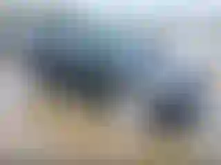 Vehicle Image- 2020 Hyundai Tucson