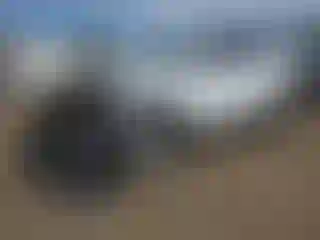 Vehicle Image- 2019 Hyundai Tucson