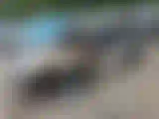 Vehicle Image- 2018 Hyundai Tucson