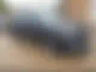 Vehicle Image- 2022 Hyundai Tucson