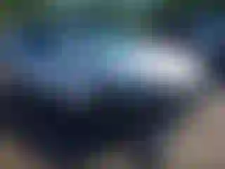 Vehicle Image- 2024 Hyundai Tucson