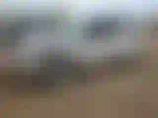 Vehicle Image- 2006 Hyundai Tucson