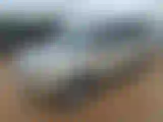 Vehicle Image- 2009 Hyundai Tucson