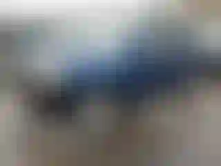 Vehicle Image- 2009 Hyundai Tucson