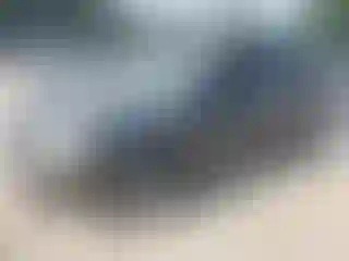 Vehicle Image- 2008 Hyundai Tucson