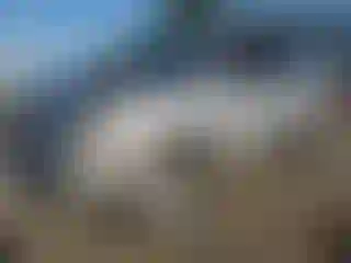 Vehicle Image- 2007 Hyundai Tucson