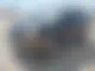 Vehicle Image- 2009 Hyundai Tucson
