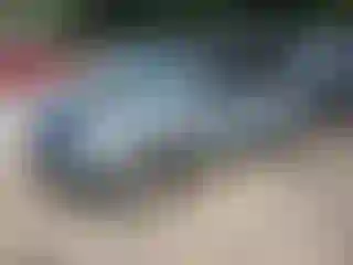 Vehicle Image- 2006 Hyundai Tucson