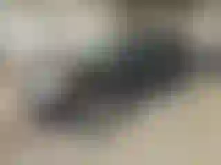 Vehicle Image- 2006 Hyundai Tucson