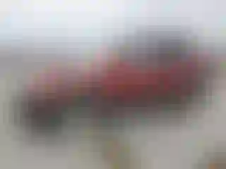 Vehicle Image- 2006 Hyundai Tucson