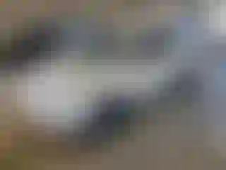 Vehicle Image- 2013 Hyundai Tucson