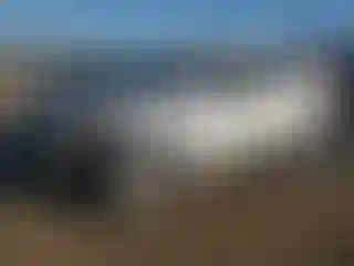 Vehicle Image- 2013 Hyundai Tucson