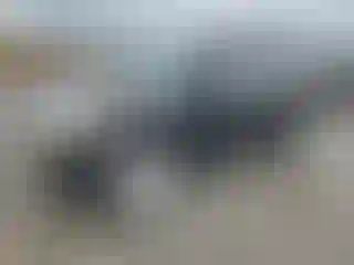 Vehicle Image- 2011 Hyundai Tucson