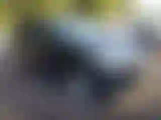 Vehicle Image- 2013 Hyundai Tucson